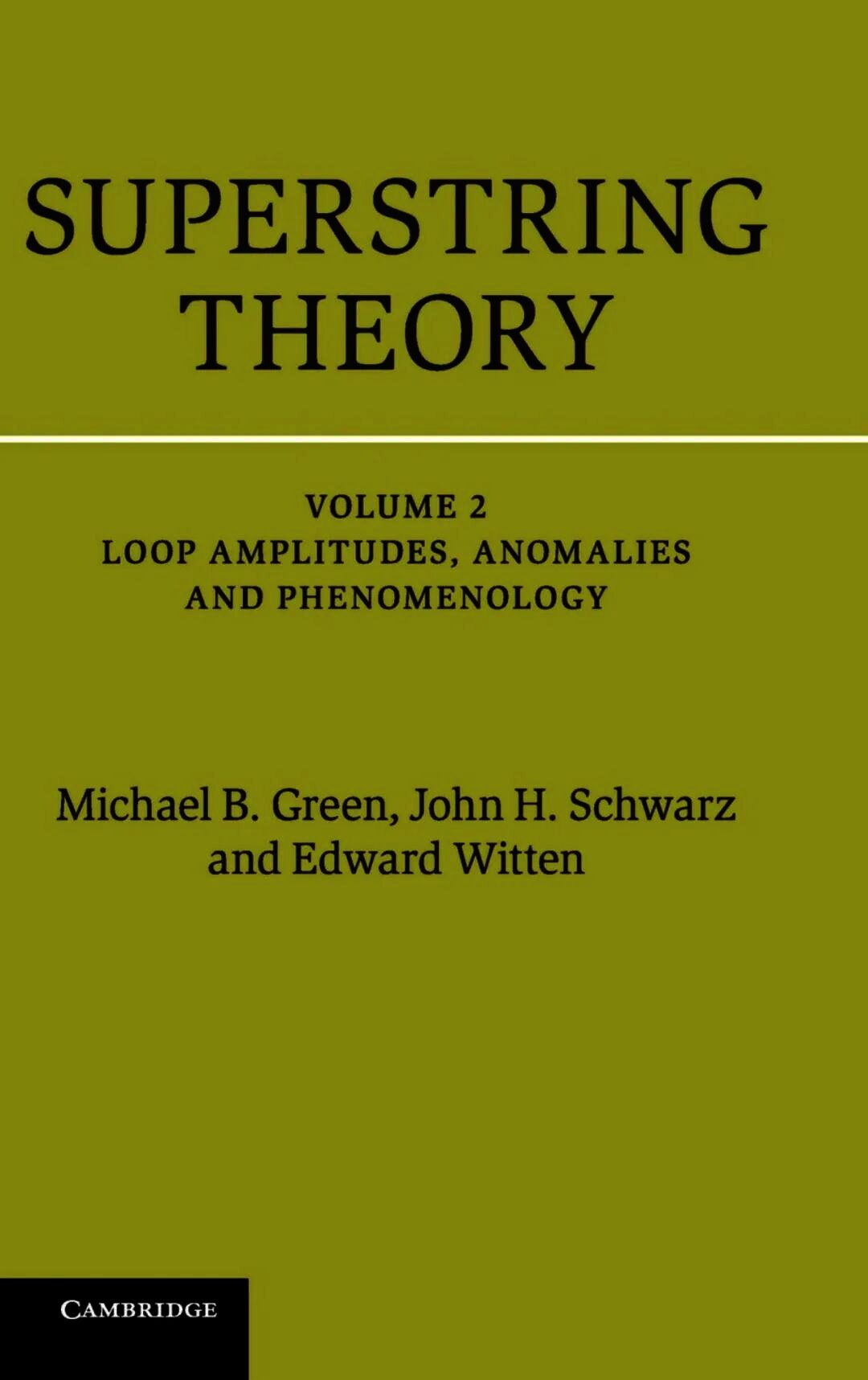 Superstring Theory Volume 2